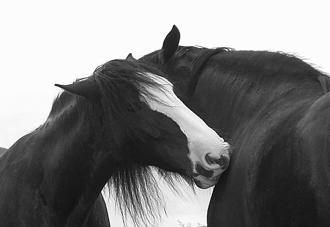 <b> Ranní hygiena:o) </b>