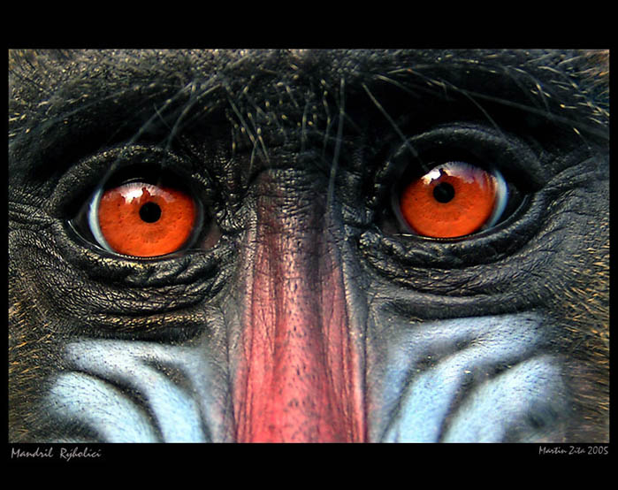 Face To Face
