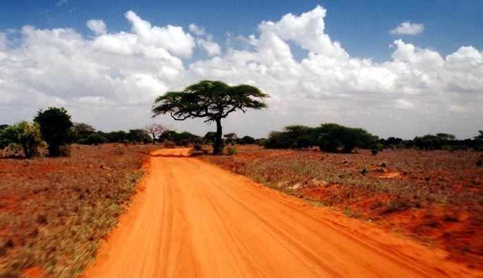 Kenya - Tsavo