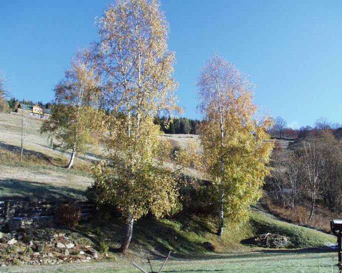 podzim v Krkonoších