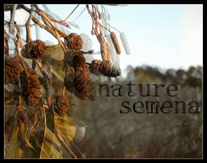 .:NatureSemena:.