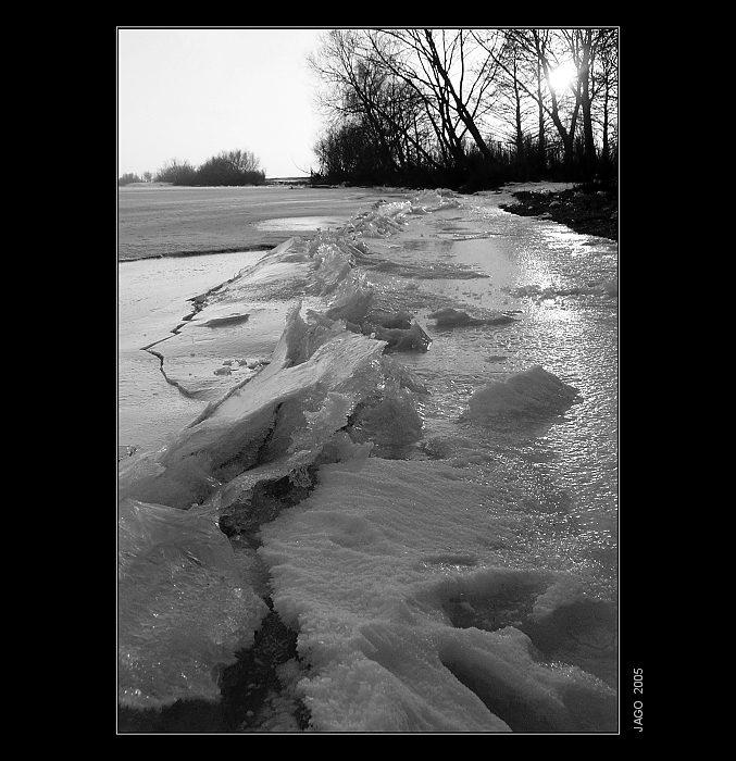 ICEBERGS...