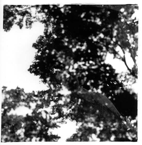 ...duben/april...<br>