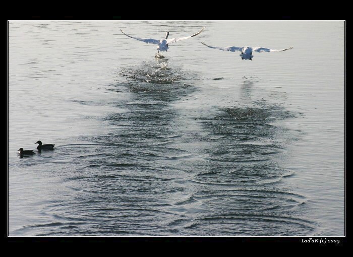 <b>na říční ranveji</b>