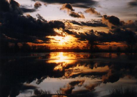Večerní idylka