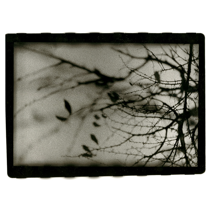 spanning tree v2