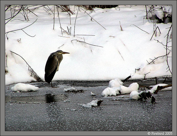 *** stráž tam v dáli stála ***