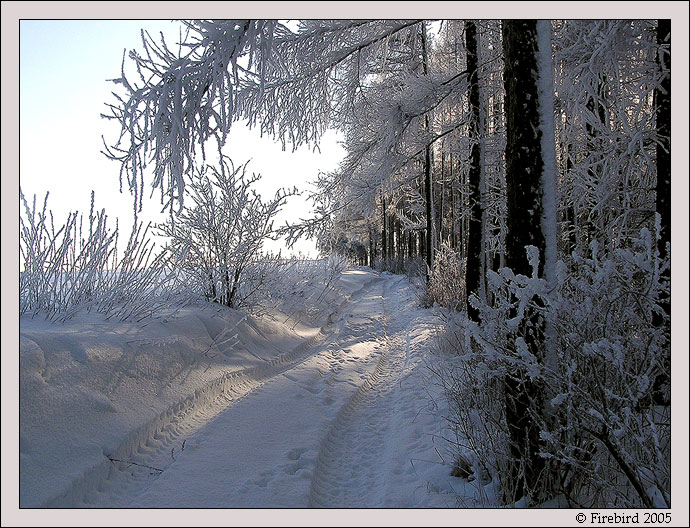*** zachumelená #2 ***