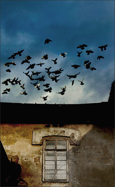 Fly away ...