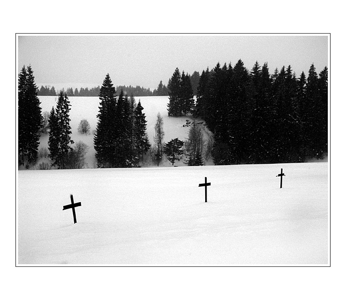 Orava III.