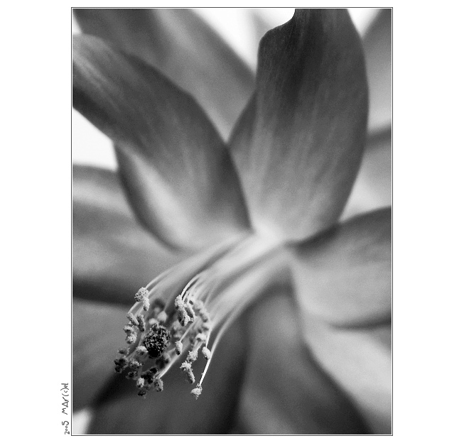 ..:: B&W ::..