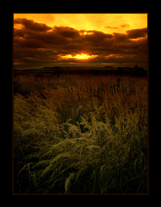 ...sunset...grass...trashy...