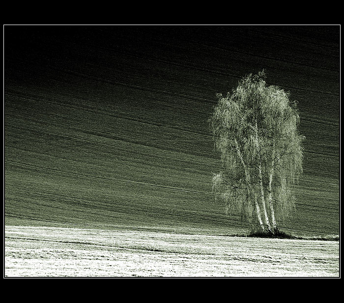 ...tři grácie - melancholické...