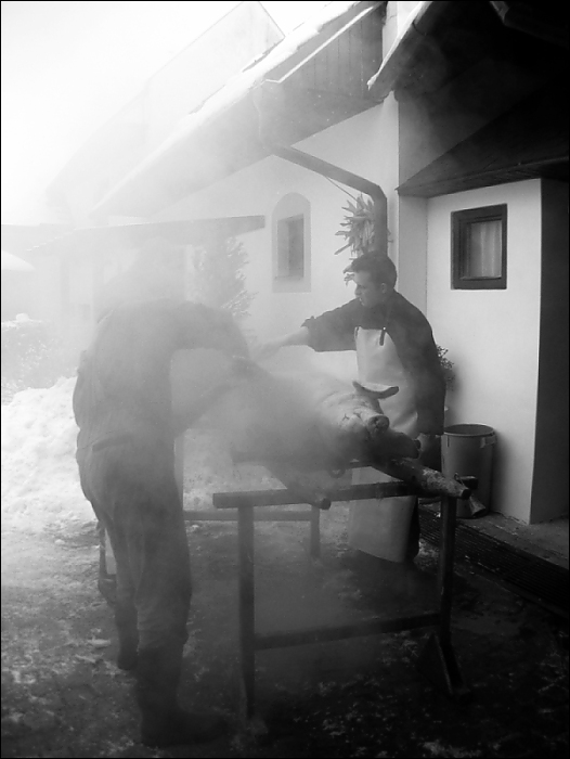 A KDYŽ UŽ SPADLO, TAK...