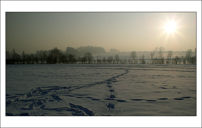 Havířovská zimní krajina (1)