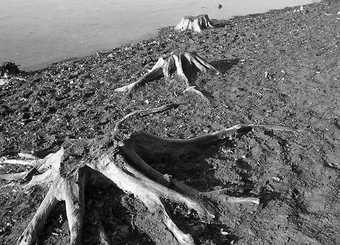 Když opadne voda...