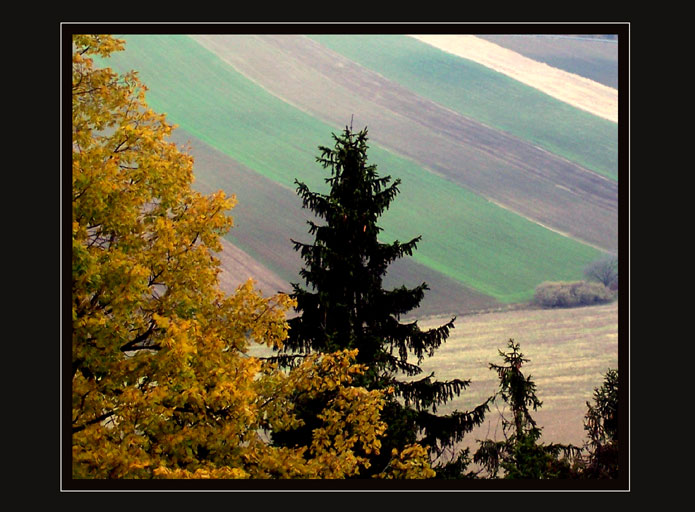 Podzimní