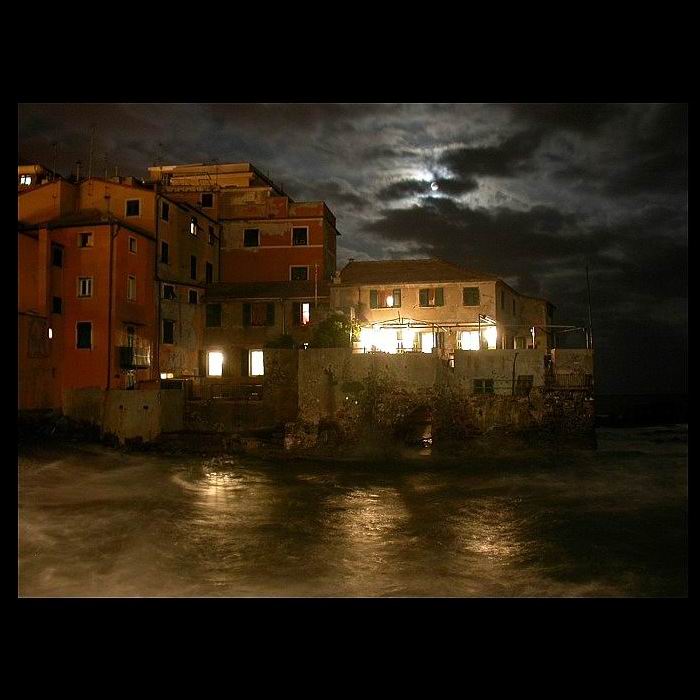 A moonlight night