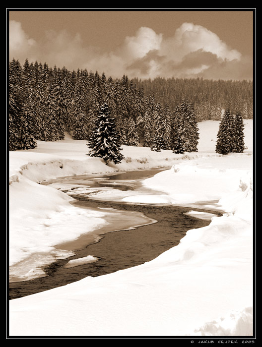 Zimní Šumava