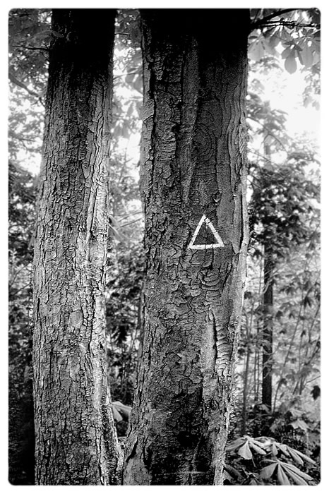 : sign :