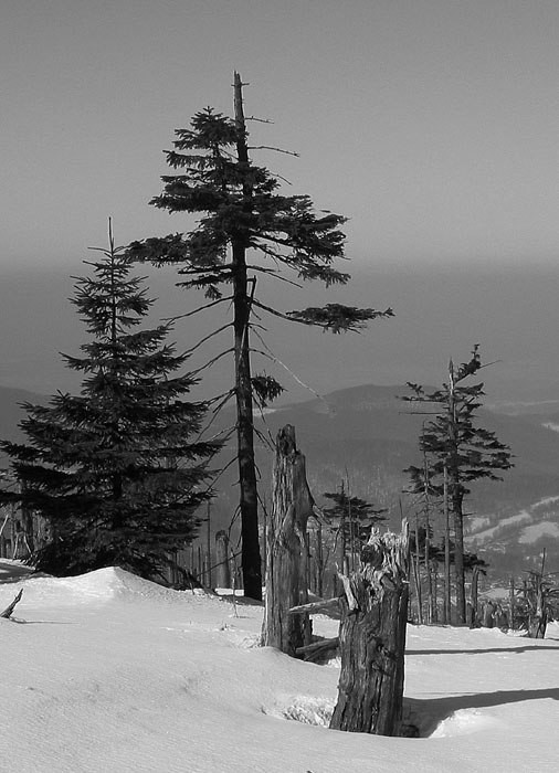 Krkonošská zastavení ...