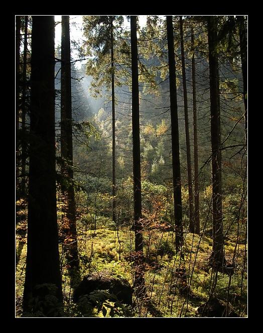 Průnik světla