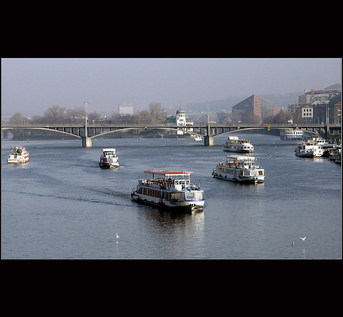 <b> Vltava - hustý provoz </b>