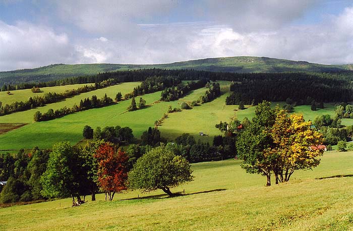 Rýchory