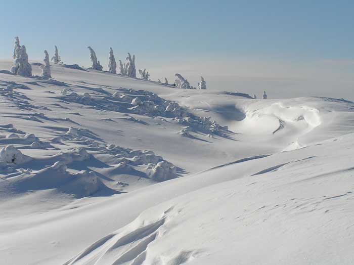 Flachau 2005
