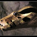 ssssssssssi mně teda vyfoť .....