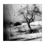 ...smutná krajina ...