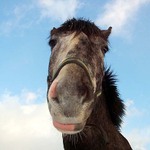 Víš že se nerad fotím...