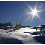 * prasátek na rozdávání *