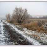 <b>Tento způsob zimy zdá se mi poněkud nešťastným...</b>