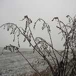 <b>Ledem oděná...</b>
