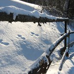 <b>A myš potkala zajíce...</b>