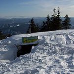 hlavně, že mají otevřeno