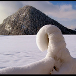 Skláním hlavu svou...