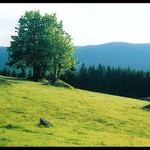 Jesenická krajinka