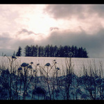 Smutná krajina