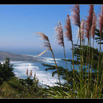 Kalifornské pobřeží