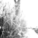 unfamiliar wind (leeks hills)