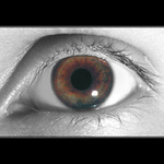 Good morning, my dears!