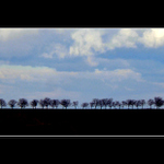 ...Vojáci v řadě...