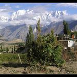 Ideální kombinace...