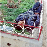 Bolivie Potosí - Homeless