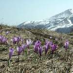 Probuzení na Malé Fatře I.