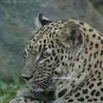 Jsem v pohodě a co ty ?