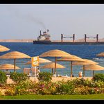 Ještě předevčírem slunce hřálo a kytky voněly....