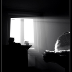 ...free as a bird...